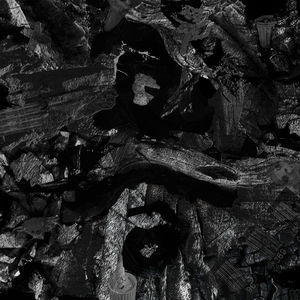 仙踪林呦性XXX免费看
