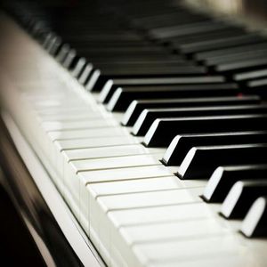 仙踪林呦性XXX免费看
