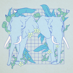 仙踪林呦性XXX免费看
